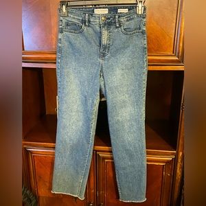Social Standard by Sanctuary - high rise crop straight denim jeans (size 6)